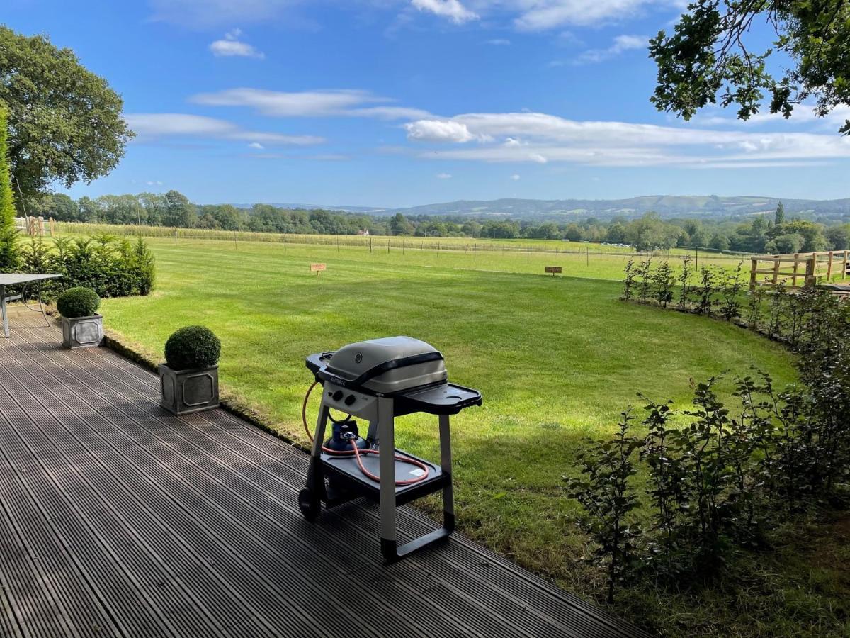 Stunning Cabin With Incredible Views Near Goodwood Rogate Екстериор снимка