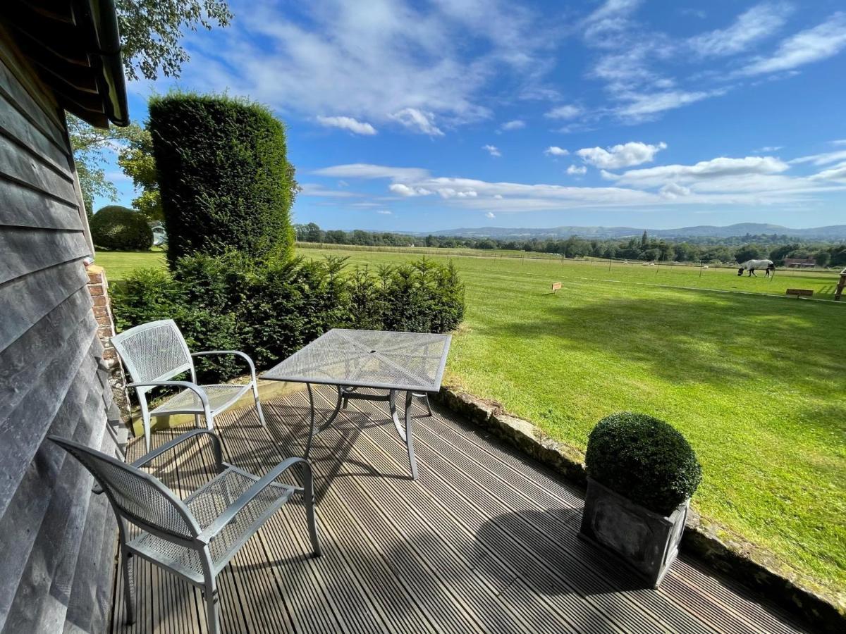 Stunning Cabin With Incredible Views Near Goodwood Rogate Екстериор снимка