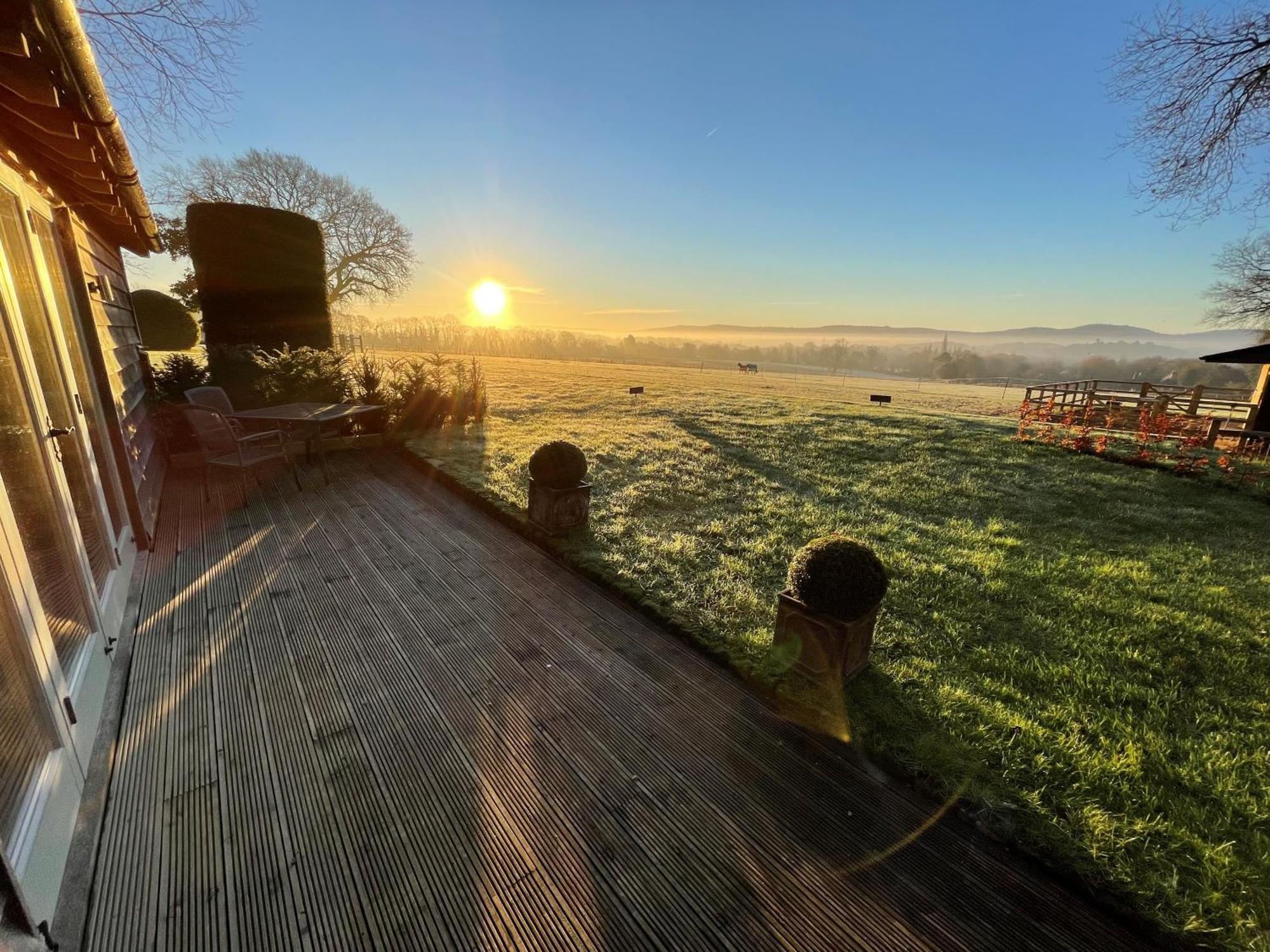 Stunning Cabin With Incredible Views Near Goodwood Rogate Екстериор снимка
