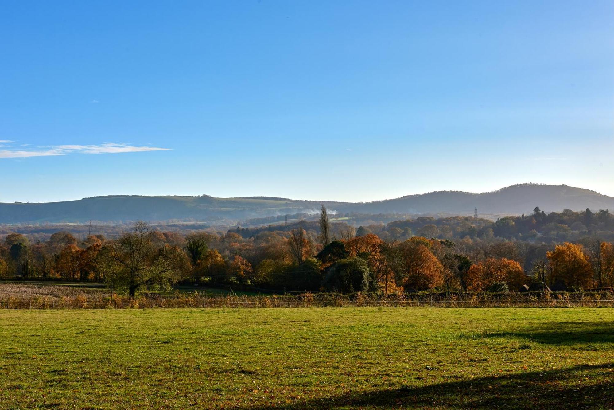 Stunning Cabin With Incredible Views Near Goodwood Rogate Екстериор снимка