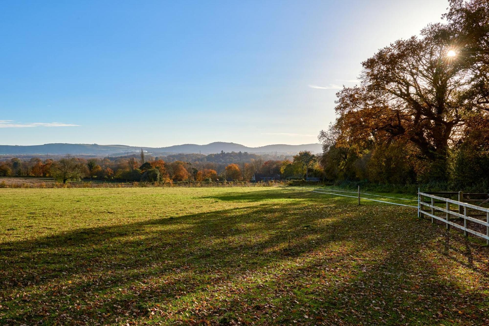 Stunning Cabin With Incredible Views Near Goodwood Rogate Екстериор снимка