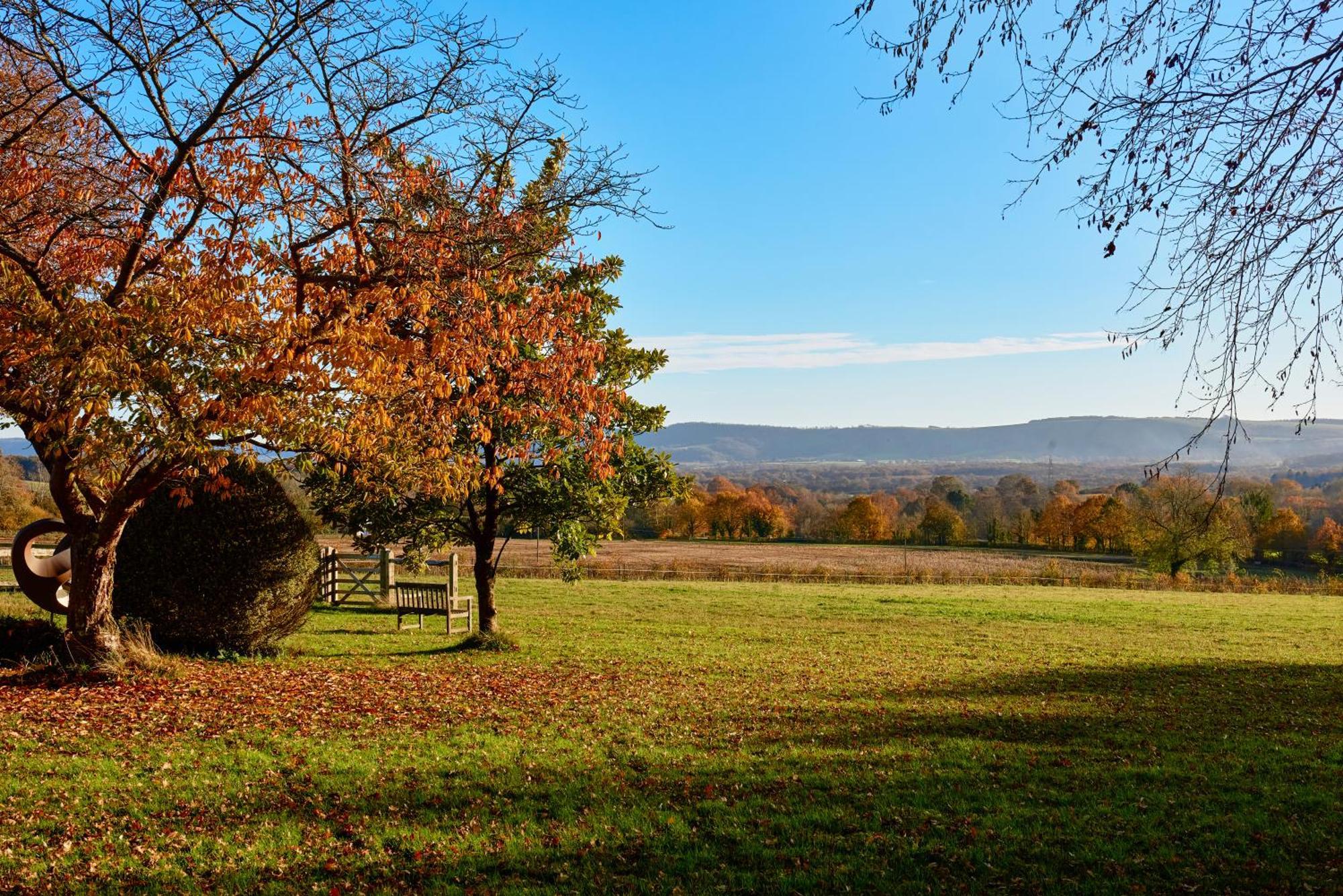 Stunning Cabin With Incredible Views Near Goodwood Rogate Екстериор снимка