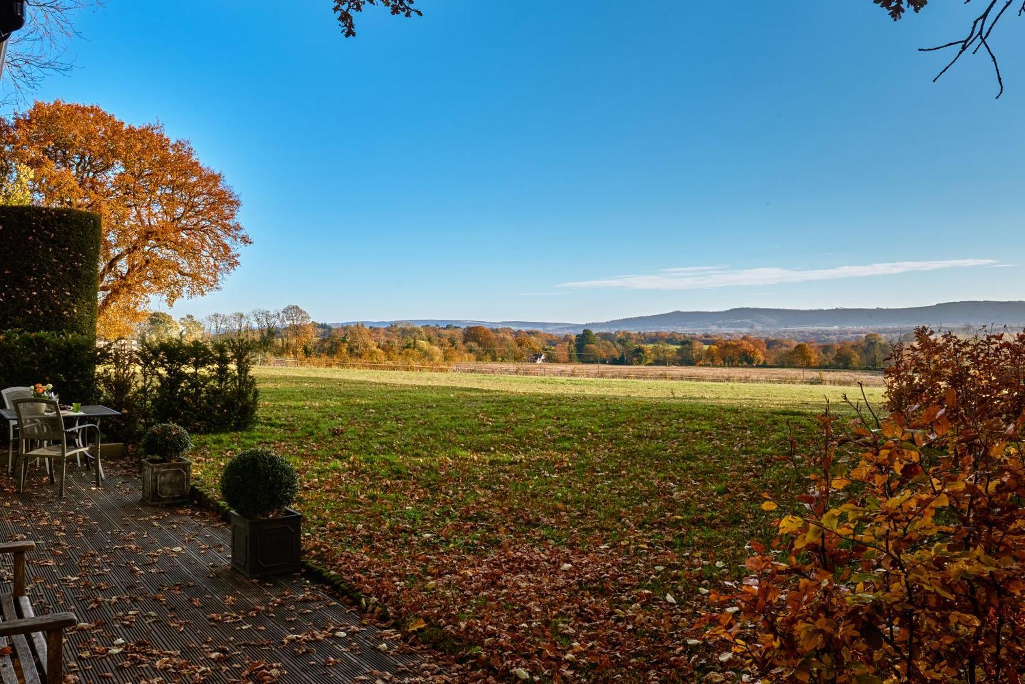 Stunning Cabin With Incredible Views Near Goodwood Rogate Екстериор снимка