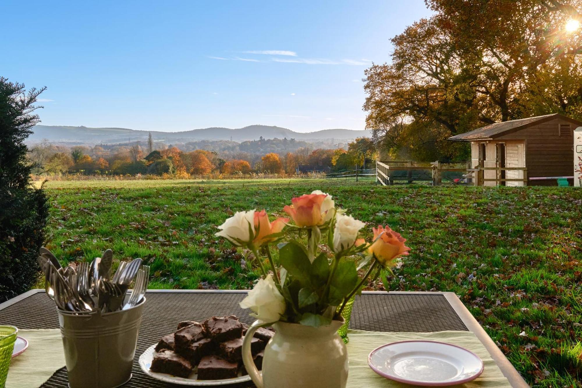 Stunning Cabin With Incredible Views Near Goodwood Rogate Екстериор снимка