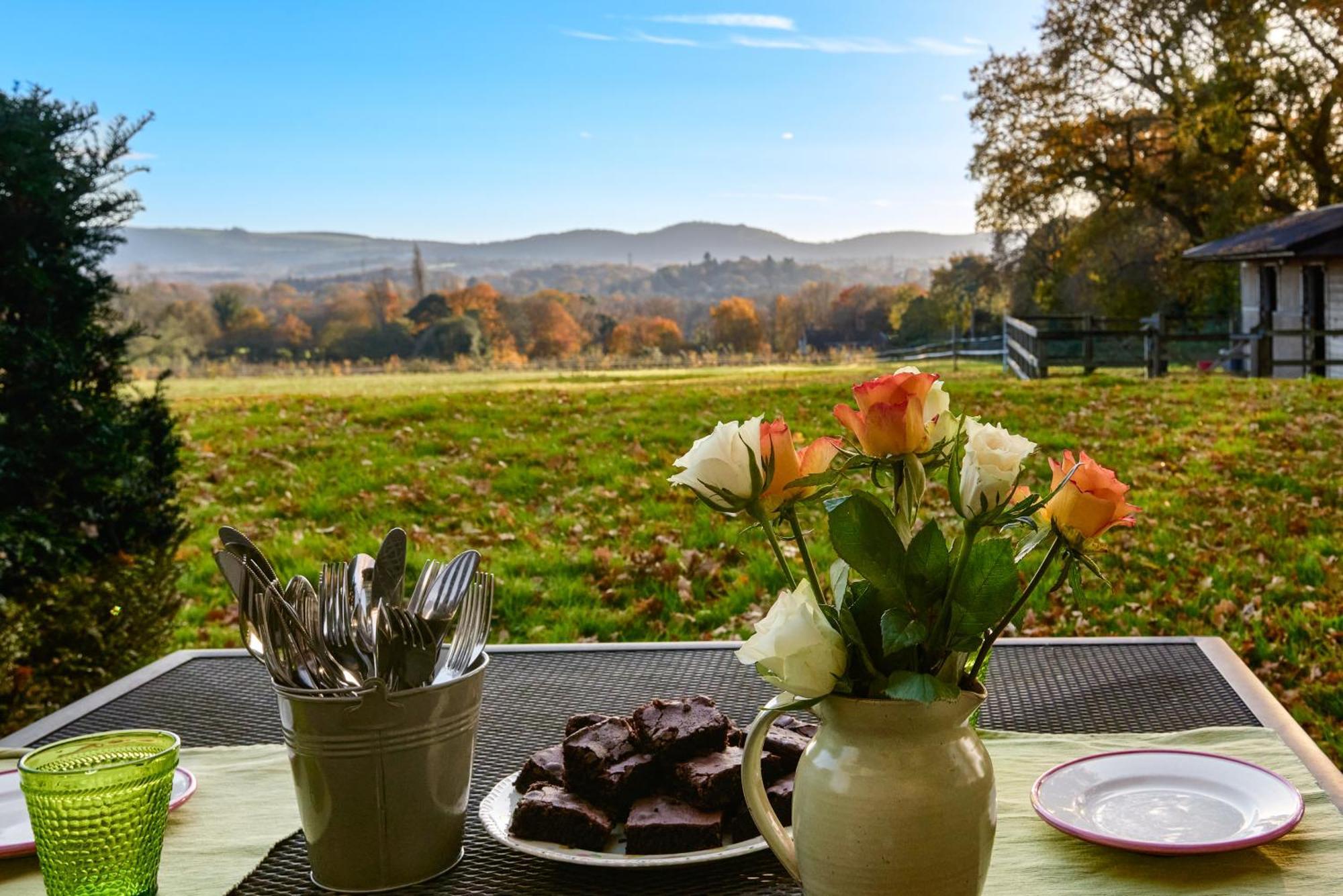 Stunning Cabin With Incredible Views Near Goodwood Rogate Екстериор снимка